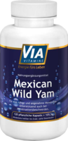 VIAVITAMINE Mexican wild Yam Kapseln