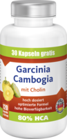 VIAVITAMINE Garcinia Cambogia Kapseln